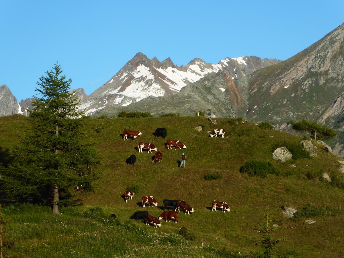 Hotel Locanda Grauson Cogne Exterior foto